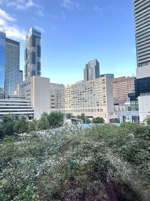 Best Location In Downtown- Walking To Eaton Centre, Nathan Phillips Square, Yonge-Dundas, Ikea,Transit 多伦多 外观 照片